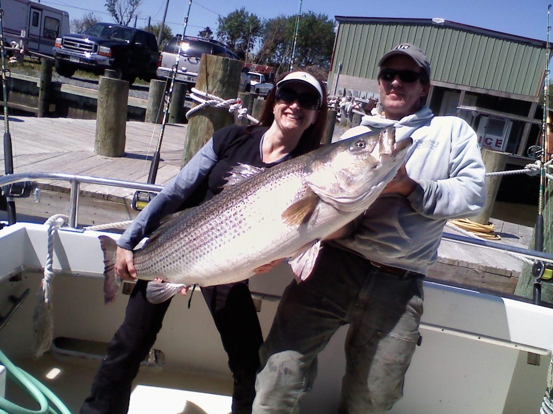 striped-bass-fishing-charters-striped-bass-fishing-lures-trolling-lures