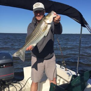 Striped Bass Fishing In Maryland