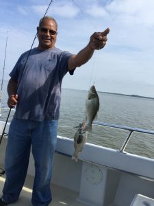Perch Fishing Report